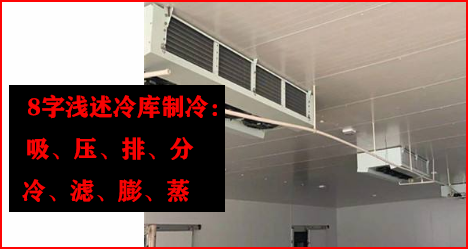 8֜\(k)䣺š䡢V